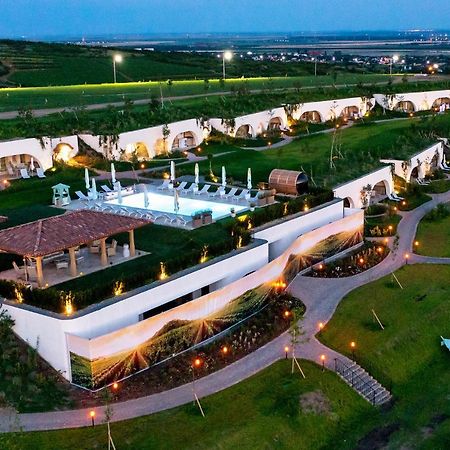 Casa Timis - Wellness & Spa Resort Chitorani ภายนอก รูปภาพ Aerial view of the resort