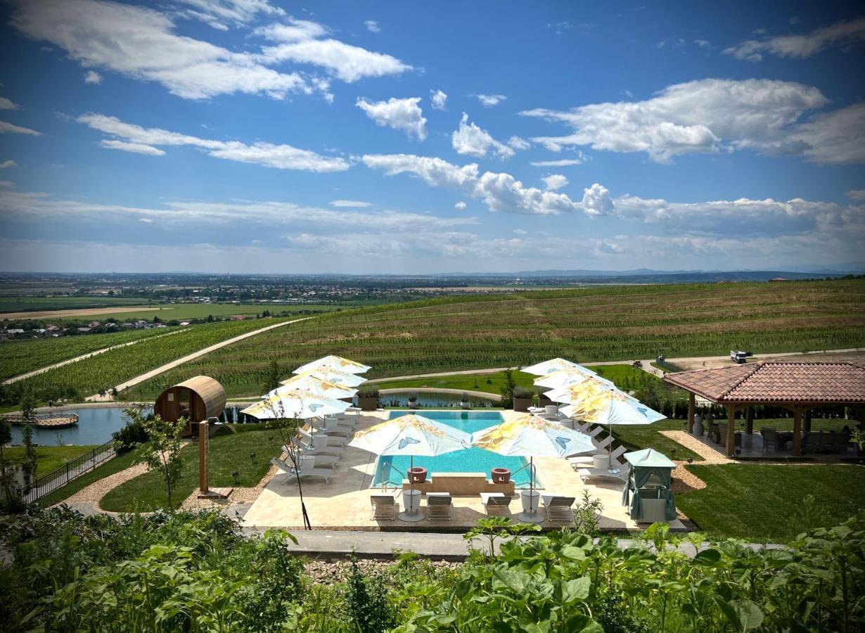 Casa Timis - Wellness & Spa Resort Chitorani ภายนอก รูปภาพ View of the resort