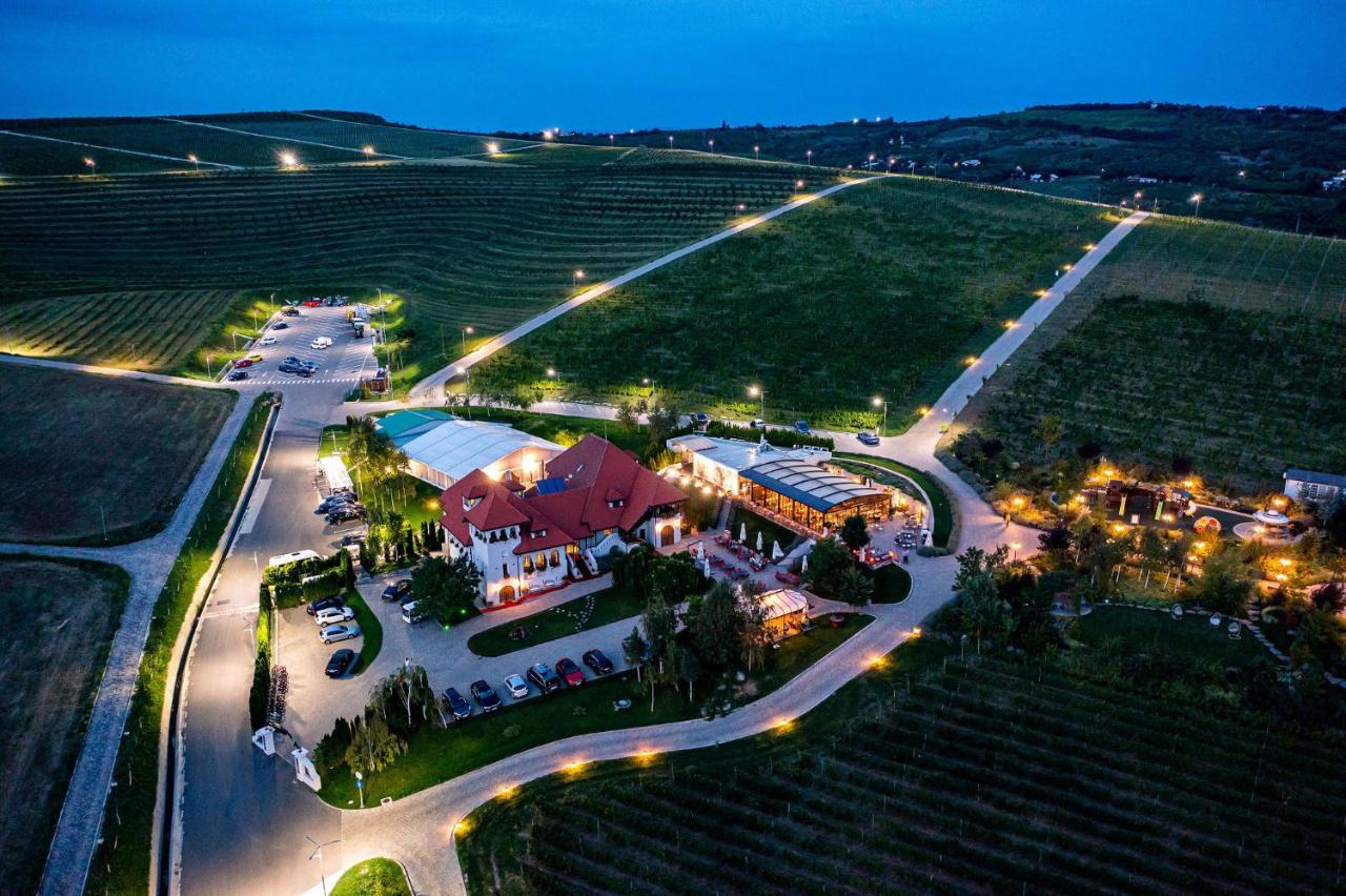 Casa Timis - Wellness & Spa Resort Chitorani ภายนอก รูปภาพ Aerial view of the winery